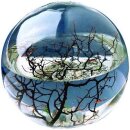 EcoSphere - Aquarium aus der NASA Weltraumforschung -...